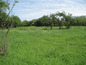 Land for sale near MONTANA, Bulgaria - Well-sized plot of land, part of idyllic countryside