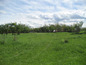 Land for sale near MONTANA, Bulgaria - Well-sized plot of land, part of idyllic countryside