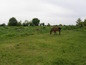 View from the surroundings