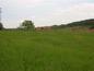 Land for sale near Stara Zagora
