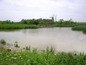 Big plot of land on the shore of the nice lake.