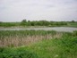 Agricultural land for sale near BURGAS, Bulgaria - NEW LOWER PRICE! 15390 sq.m. high category land on the shore of a nice lake.