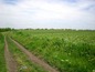 Agricultural land for sale near BURGAS, Bulgaria - NEW LOWER PRICE! 15390 sq.m. high category land on the shore of a nice lake.
