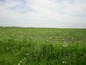 Agricultural land for sale near BURGAS, Bulgaria - NEW LOWER PRICE! 15390 sq.m. high category land on the shore of a nice lake.