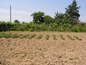 House for sale near PLOVDIV, Bulgaria - A single storey house a nice village near Plovdiv...