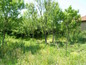 House for sale near PLOVDIV, Bulgaria - A nice and cozy rural house near Plovdiv...