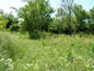 House for sale near PLOVDIV, Bulgaria - A nice and cozy rural house near Plovdiv...