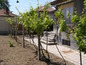 House for sale near PLOVDIV, Bulgaria - A lovely single storey house with a really large garden...