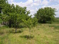 House for sale near PLOVDIV, Bulgaria - A lovely single storey house with a really large garden...