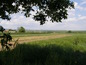 View of the surroundings
