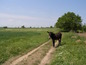 The surroundings