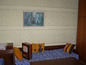 House for sale near PLOVDIV, Bulgaria - A lovely single storey house with a really large garden...