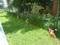 Apartament de inchiriat in GOLDEN SANDS, Bulgaria - Sea Village � locuinta de vacanta la mare, in zona de parc