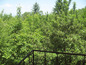 House for sale near Sofia, Bulgaria - Marvelous family house for recreation & long holidays, only 25 km from the capital
