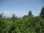 House for sale near Sofia, Bulgaria - Marvelous family house for recreation & long holidays, only 25 km from the capital