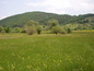 Plot 01
