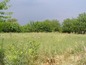 Land for sale near Plovdiv