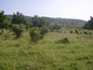 Agricultural land for sale near Plovdiv