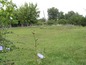 Plot of land to build a private house