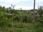 House for sale near Plovdiv, Bulgaria - A charming family house, disposed at the foot of the Sredna Gora mountain