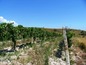Land for sale near Varna, Bulgaria - Nice regulate plot of land on the Black Sea coast 