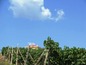 Land for sale near Varna, Bulgaria - Nice regulate plot of land on the Black Sea coast 