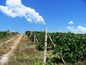 Land for sale near Varna, Bulgaria - Nice regulate plot of land on the Black Sea coast 