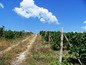 Land for sale near Varna, Bulgaria - Nice regulate plot of land on the Black Sea coast 