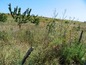 Land for sale near Varna, Bulgaria -  A real bargain opportunity  