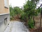 The garden in front of the house