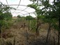 House for sale near Plovdiv, Bulgaria - A brick built house with big potential