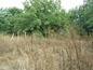 House for sale near Plovdiv, Bulgaria - A brick built house with big potential
