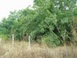 House for sale near Plovdiv, Bulgaria - A brick built house with big potential