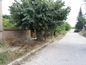 The road to the property