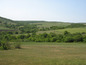 Agricultural land for sale near Burgas, Bulgaria - Agricultural plot of land near Aitos