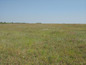 Agricultural land for sale near Burgas, Bulgaria - Agricultural plot of land near Aitos