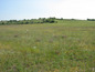 Agricultural land for sale near Burgas, Bulgaria - Agricultural plot of land near Aitos