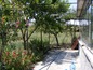A view from the house to the garden