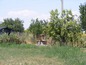House for sale near Stara Zagora, Bulgaria - Well-presented family house with spacious garden