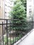 Apartment for rent in Sofia, Bulgaria - Luxury one-bedroom apartment at a communicative place 