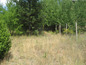 Land for sale near Sofia, Bulgaria - Delightful plot of land in regulation, views to Iskar Reservoir
