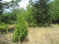 Land for sale near Sofia, Bulgaria - Delightful plot of land in regulation, views to Iskar Reservoir