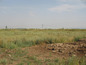 Agricultural land for sale near Sofia, Bulgaria - Well-proportioned plot of land, close to the ring road of Sofia
