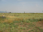 Agricultural land for sale near Sofia, Bulgaria - Well-proportioned plot of land, close to the ring road of Sofia