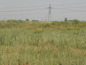 Agricultural land for sale near Sofia, Bulgaria - Well-proportioned plot of land, close to the ring road of Sofia