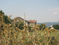 Agricultural land for sale near Sofia, Bulgaria - Well-proportioned plot of land, close to the ring road of Sofia