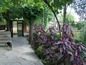 House for sale near Plovdiv, Bulgaria - Beautiful rural home set in a quiet, peaceful area