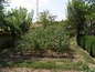 House for sale near Plovdiv, Bulgaria - Beautiful rural home set in a quiet, peaceful area