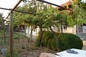 House for sale near Haskovo