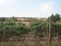 Land for sale near Haskovo
